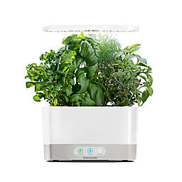 AeroGarden™ Harvest with Gourmet Herb Seed Pod Kit in White