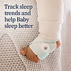 Alternate image 4 for Owlet&reg; Dream Sock Baby Monitor Bundle in Mint/Leopard (2-Pack)