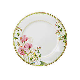 Noritake® Poppy Place Dinner Plates in White/Pink (Set of 4)