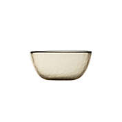 Fortessa&reg; Los Cabos All Purpose Bowls in Ginger (Set of 4)