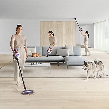 Dyson V8 Cordless Stick Vacuum in Silver/Nickel. View a larger version of this product image.