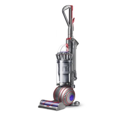 Dyson Ball Animal 3 Upright Vacuum in Nickel/Silver