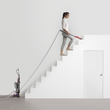 Dyson Ball Animal 3 Upright Vacuum in Nickel/Silver. View a larger version of this product image.