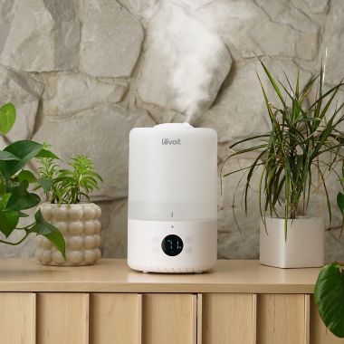 levoit dual 200s review