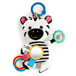 Baby Einstein™ Zen's Sensory Play Zebra Plush Toy