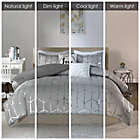 Alternate image 9 for Intelligent Design Raina 5-Piece King/California King Comforter Set in Grey/Silver