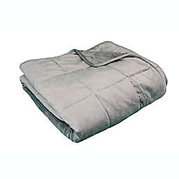 Comfortech 12 lb. Plush Weighted Blanket in Grey