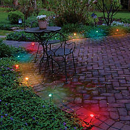 Electric Pathway Lights in Multicolor (10 Count)