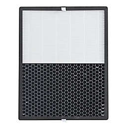 Black & Decker™ 2-Pack Replacement HEPA + Carbon Filters