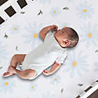 Alternate image 1 for Lambs &amp; Ivy&reg; Sweet Daisy Cotton Fitted Crib Sheet
