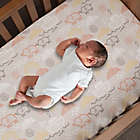 Alternate image 1 for Lambs &amp; Ivy&reg; Baby Noah Cotton Fitted Crib Sheet in Taupe