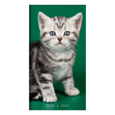 Grey and White Cat Kitten sitting Cuddly 6.5" pocket toy 
