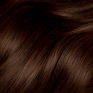 Clairol&reg; Natural Instincts Ammonia-Free Semi-Permanent Color 28B Roasted Chestnut/Dk Warm Brown. View a larger version of this product image.