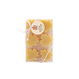 H for Happy™ Apricot Amber Wax Melts in Sulfur (Set of 6)