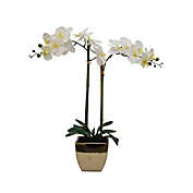 Nature&#39;s Elements&reg; 28-Inch Real Touch Artificial Orchid with Vase Planter