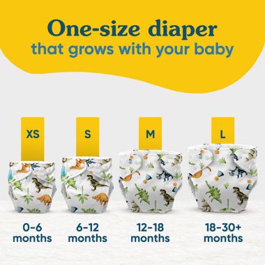 Charlie Banana One Size 3-Count Reusable Cloth Diapers with 6 Hemp Inserts in Organic Crush. View a larger version of this product image.