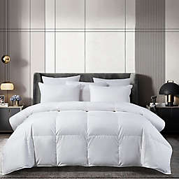 Beautyrest® First-in-Class Collection All-Seasons Comforter