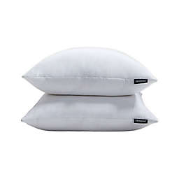 Beautyrest® Softy-Around™ 2-Pack Feather and Down European Square Pillows