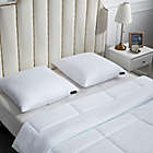 Alternate image 4 for Beautyrest&reg; Softy-Around&trade; 2-Pack Feather and Down European Square Pillows