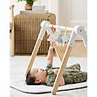 Alternate image 8 for SKIP*HOP&reg; Silver Lining Cloud Activity Gym with Mat