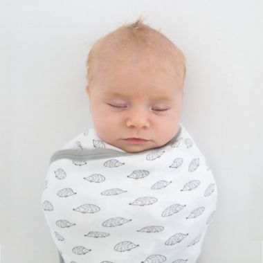 Swaddle Designs Size 0-3M Tiny Hedgehogs Arms Up Half-Length Sleeves Omni Swaddle Sack in Black. View a larger version of this product image.