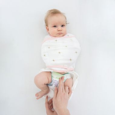 Swaddle Designs&reg; Small Bella Arms Up Omni Swaddle Sack&reg; in Pink. View a larger version of this product image.
