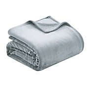 Thesis Plush Solid Full/Queen Blanket in Silver Sage
