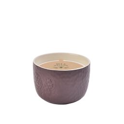 Bee & Willow™ Large 3-Wick Sugared Chestnuts Holiday Jar Candle in Red