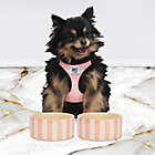 Alternate image 1 for Juicy Couture&reg; Dog Bowls in Rose (Set of 2)