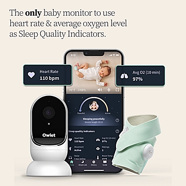 Owlet&reg; Dream Duo. View a larger version of this product image.