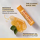 Alternate image 1 for Burt&#39;s Bees&reg; 4-Pack Beeswax Lip Balms with Vitamin E &amp; Peppermint