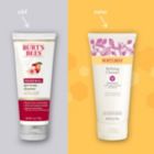 Alternate image 2 for Burt's Bees&reg; 6 oz. Refining Cleanser