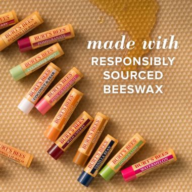 Burt's Bees&reg; 4-Pack  .15 oz. Assorted Lip Balms. View a larger version of this product image.