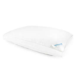 Nestwell™ Plush Cloud Firm Support Bed Pillow