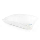 Alternate image 0 for Nestwell&trade; Plush Cloud Medium Support Standard/Queen Bed Pillow