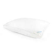 Nestwell&trade; Plush Cloud Medium Support Bed Pillow