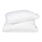 Alternate image 1 for Nestwell&trade; Plush Cloud Medium Support Standard/Queen Bed Pillow