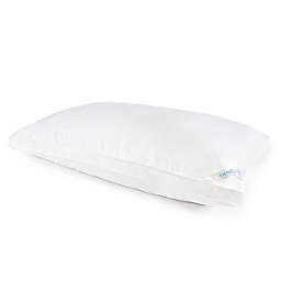 Nestwell™ Plush Cloud Medium Support King Bed Pillow