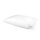 Alternate image 0 for Nestwell&trade; Plush Cloud Soft Support Standard/Queen Bed Pillow