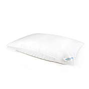 Nestwell&trade; Plush Cloud Soft Support Standard/Queen Bed Pillow