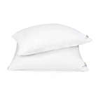 Alternate image 1 for Nestwell&trade; Plush Cloud Soft Support Standard/Queen Bed Pillow