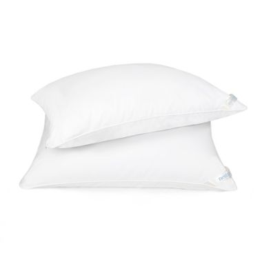 Nestwell&trade; Plush Cloud Soft Support Standard/Queen Bed Pillow. View a larger version of this product image.