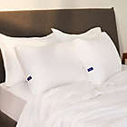 Alternate image 1 for Casper&reg; Essential Standard Bed Pillow