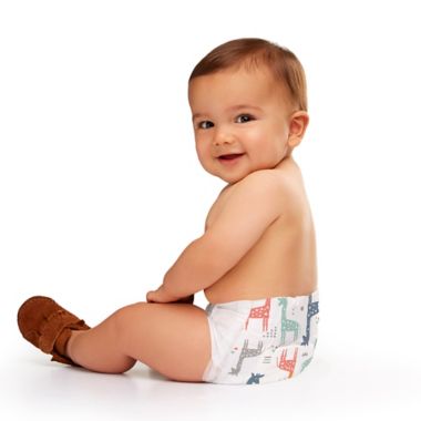 Honest&reg; Tribal Pattern Size 1 80-Count Disposable Diapers in White. View a larger version of this product image.