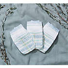 Alternate image 1 for The Honest Company&reg; Size 1 80-Count Disposable Diapers in Tribal Pattern