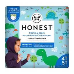Honest Size 4-5T 19-Pack Training Pants in Dinosaur Pattern