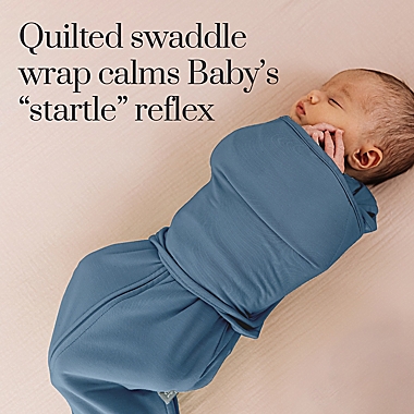 Owlet Dream Sleeper with Swaddle in Blue. View a larger version of this product image.