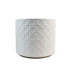 Alternate image 0 for Everhome&trade; Large Round Stoneware Indoor/Outdoor Caning Planter in White
