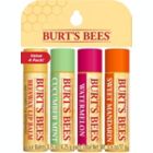 Alternate image 0 for Burt's Bees&reg; 4-Pack 0.15 oz. Freshly Picked Lip Balms
