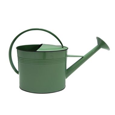 Bee &amp; Willow&trade; Watering Can in Green. View a larger version of this product image.